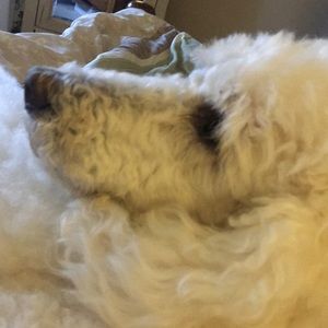 Meet your Posher, Mark